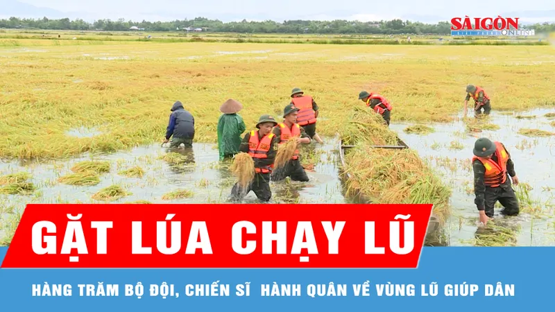Quân đội hành quân về vùng lũ giúp dân gặt lúa