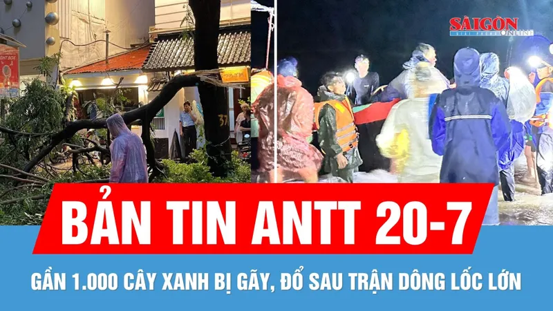 Bản tin ANTT 20-7: Gần 1.000 cây xanh bị gãy đổ | 2 tàu cá và 8 ngư dân mất liên lạc vào bờ an toàn