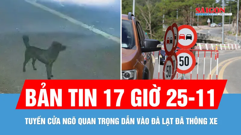 Bản tin 17 giờ ngày 25-11: Đèo Prenn đã thông xe; Ô tô 7 chỗ trộm chó trước nhà dân