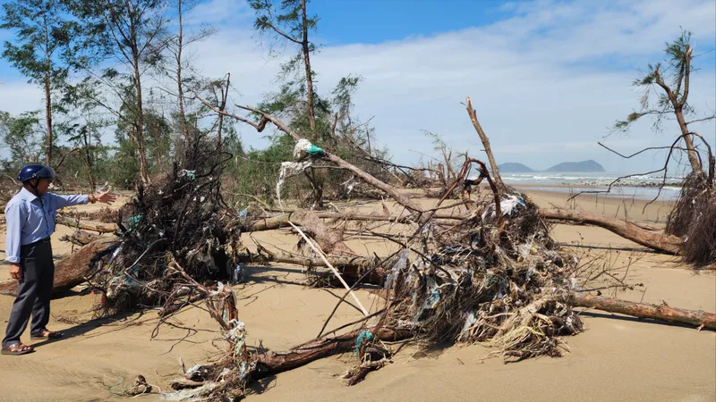 Ông Phan Vĩnh Tuy, Trưởng thôn Tân Ninh Châu (xã Đan Hải, tỉnh Hà Tĩnh) xót xa bên rừng cây phi lao phòng hộ đã bị bão tàn phá tan hoang