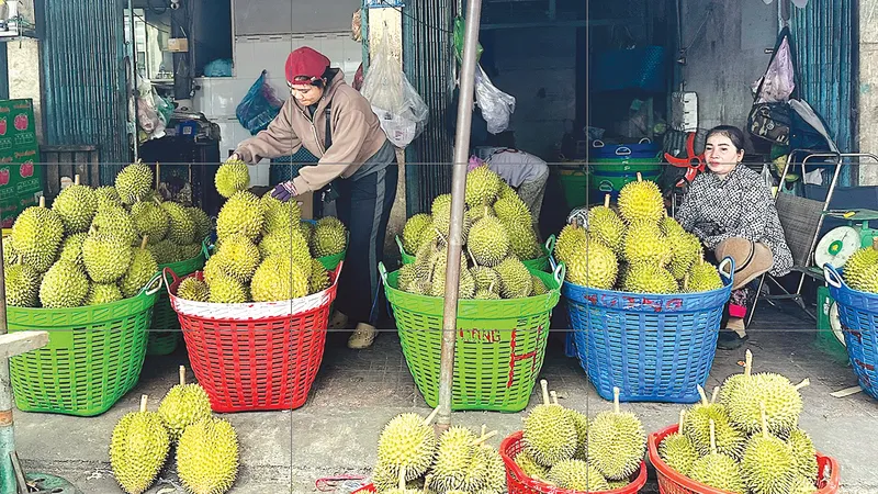 Nhiều loại trái cây... đại hạ giá