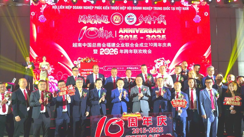 闽商聚越 乡情十载