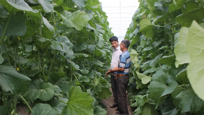 TPHCM: Đồng hành cùng nông sản sạch giai đoạn 2025 – 2030