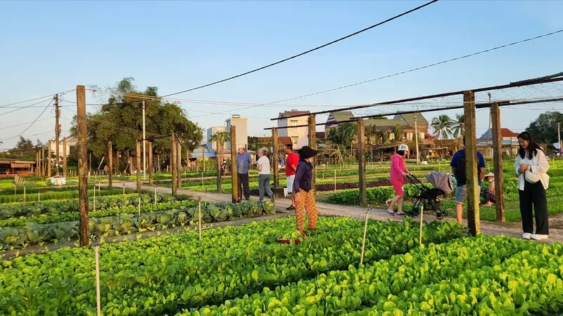 HCMC’s agritourism sector blooms with innovative farm-stay models