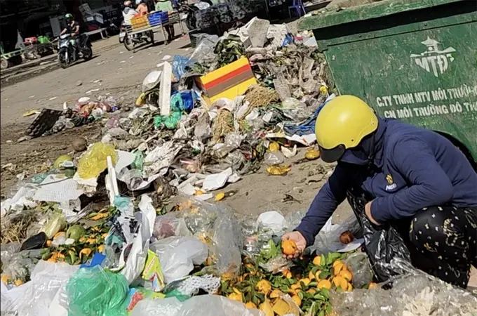 A woman selecting is intact tangerines from discarded goods at Thu Duc Agricultural Wholesale Market (Photo: SGGP)