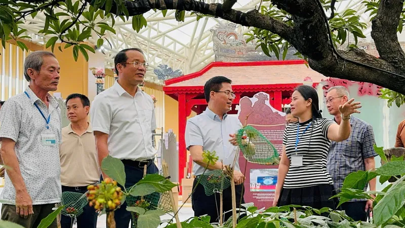 Ông Nguyễn Hoàng Giang (thứ 2 từ phải sang), Chủ tịch UBND tỉnh Quảng Ngãi kiểm tra tiến độ thi công không gian trưng bày của Quảng Ngãi. Ảnh: Sở VH-TT-DL tỉnh Quảng Ngãi
