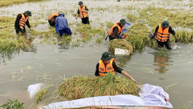 Miền Trung nỗ lực khắc phục hậu quả mưa lũ