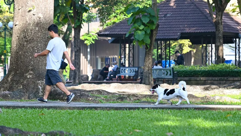 Quản lý chó, mèo bằng dữ liệu