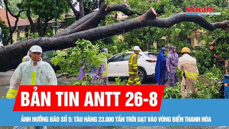 Bản tin ANTT 26-8: Cây xà cừ cổ thụ bật gốc, đè bẹp ô tô trước cổng Bệnh viện Xanh Pôn