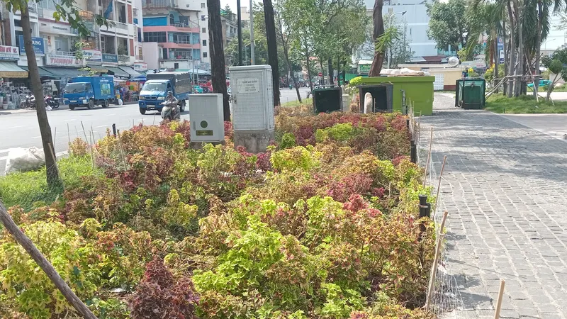 Đổi thay ở Công viên Thăng Long 