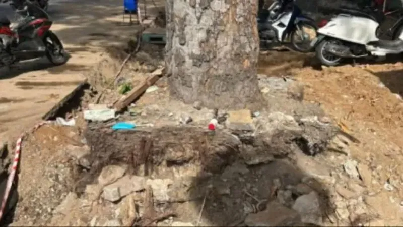 Bảo vệ cây xanh