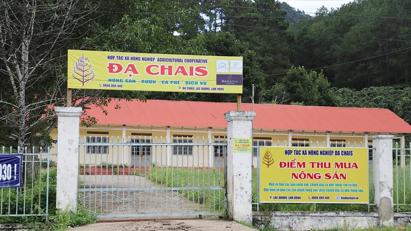 Hoang phí điểm thu mua nông sản vùng sâu