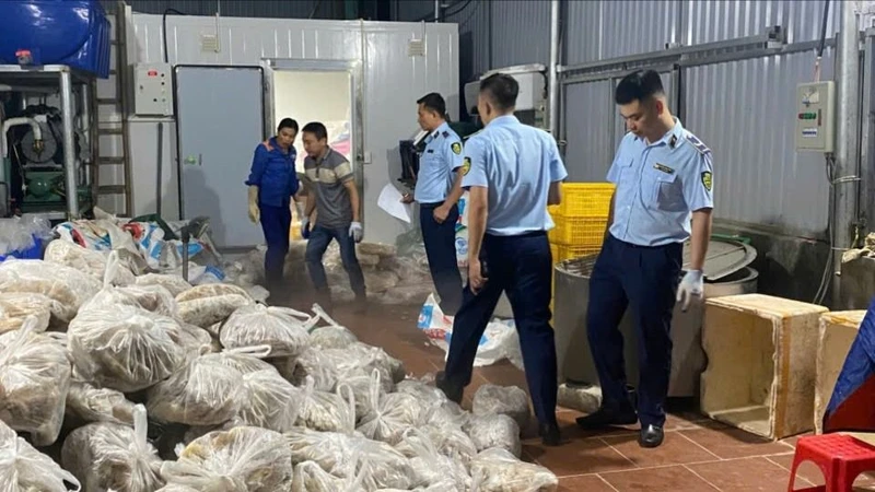 Phát hiện gần 11 tấn thịt và nội tạng bò bốc mùi tại Hà Nội