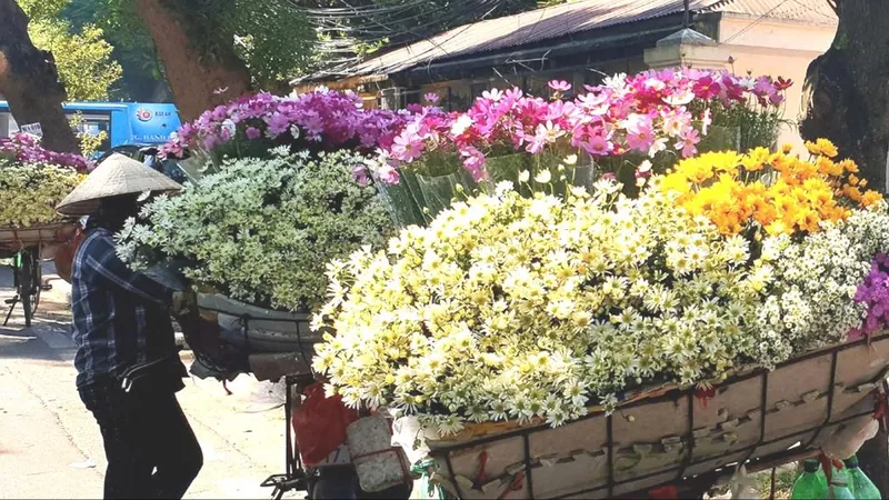 Nhớ Hà Nội, nhớ những chuyến xe hoa