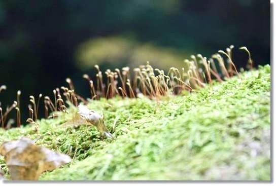 示意图：互联网。