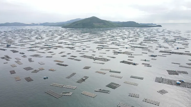 Xuan Dai Bay, the largest lobster-farming hub in Central Vietnam, in Dak Lak Province