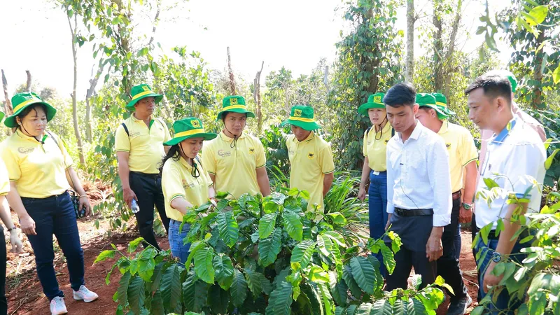 Chương trình Canh tác cà phê thông minh góp phần thực hiện chiến lược xanh hóa và giảm phát thải khí nhà kính của Bình Điền, hướng tới nền nông nghiệp bền vững.
