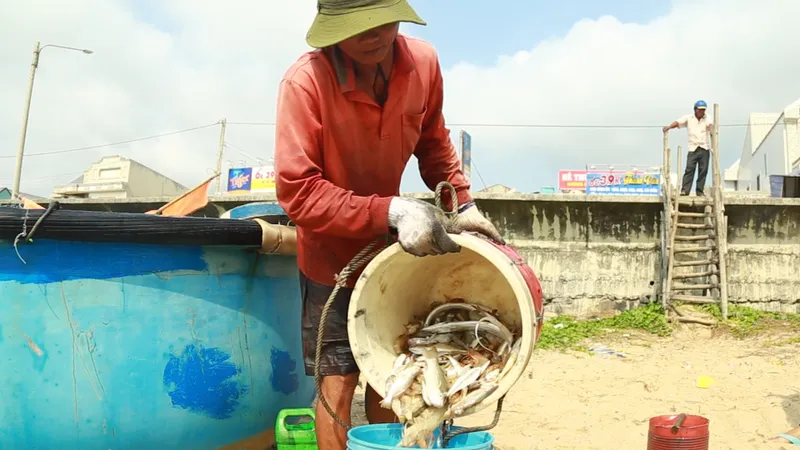 “Mở biển” đầu xuân, ngư dân trúng cả chục triệu đồng