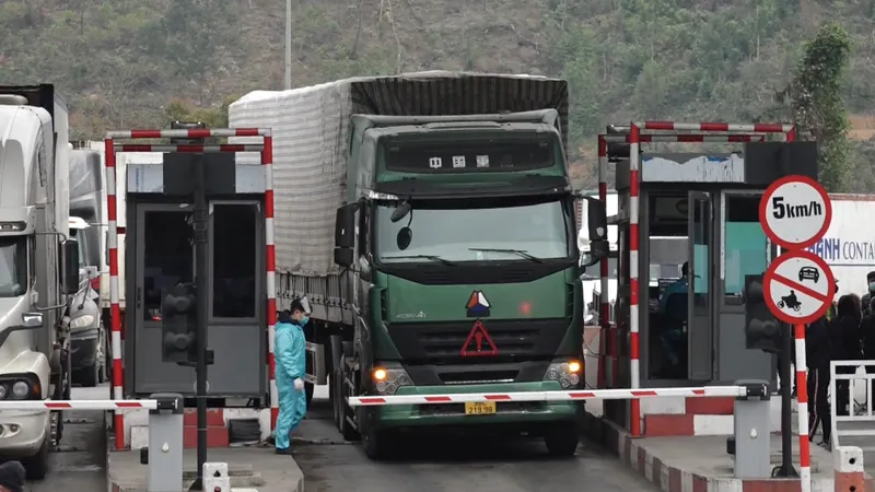 Lạng Sơn tạm dừng tiếp nhận xe chở hoa quả tươi từ ngày 17-1