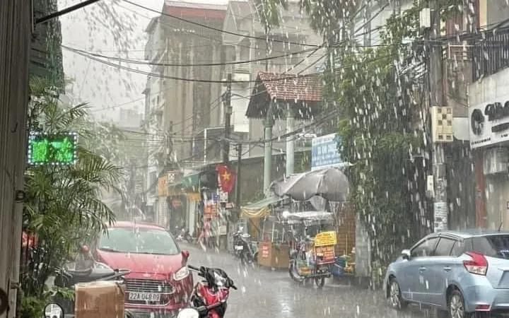 Podcast bản tin trưa 10-1: Khu vực Bắc Bộ và Bắc Trung Bộ trời rét, vùng núi có nơi dưới 10 độ C;