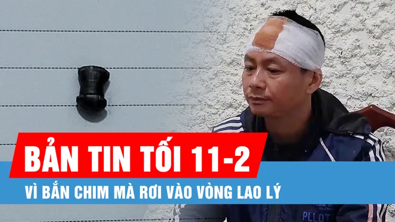 Bản tin tối 11-2: Vì bắn chim mà rơi vào vòng lao lý