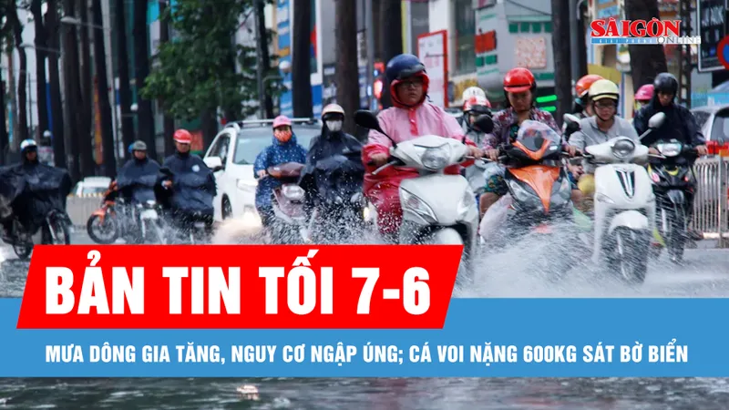 Bản tin tối 7-6: Mưa dông gia tăng, nguy cơ ngập úng; Cá voi nặng 600kg sát bờ biển Bình Định