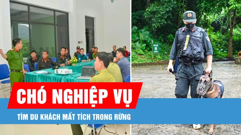 Podcast bản tin tối 17-8: Huy động phương tiện, chó nghiệp vụ tìm du khách mất tích trong rừng Cúc Phương