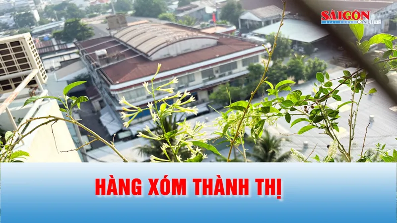 Podcast: Hàng xóm thành thị