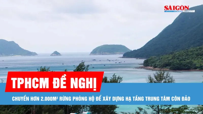 TPHCM đề nghị chuyển hơn 2.000m² rừng phòng hộ để xây dựng hạ tầng Côn Đảo