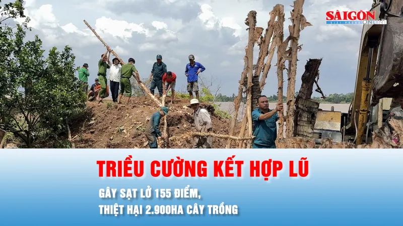 Podcast bản tin tối 25-10: Triều cường kết hợp lũ gây sạt lở 155 điểm, thiệt hại 2.900ha cây trồng