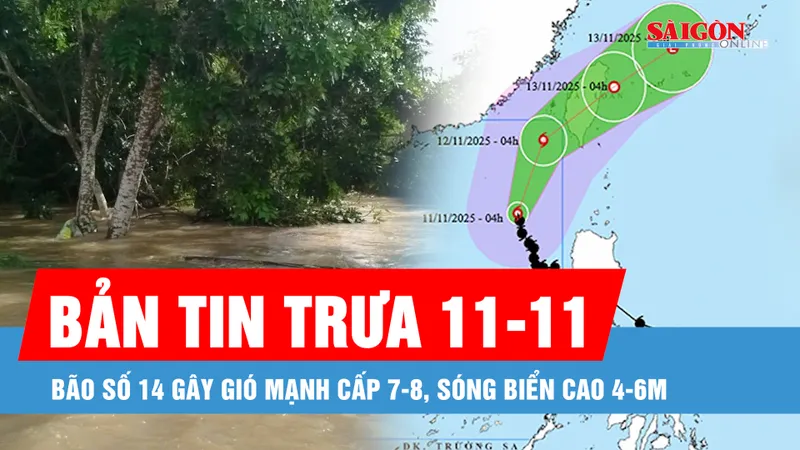 Bản tin trưa 11-11: Bão số 14 gây gió mạnh cấp 7-8, sóng biển cao 4-6m