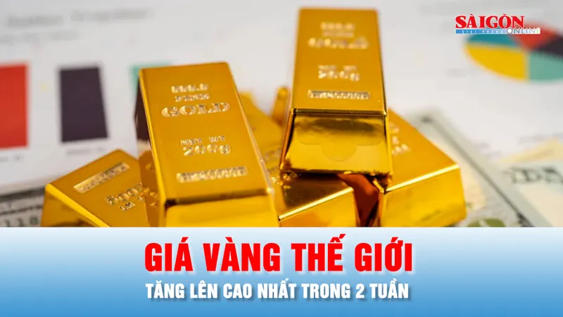Podcast bản tin trưa 11-11: Giá vàng thế giới tăng mạnh, lên mức cao nhất trong 2 tuần