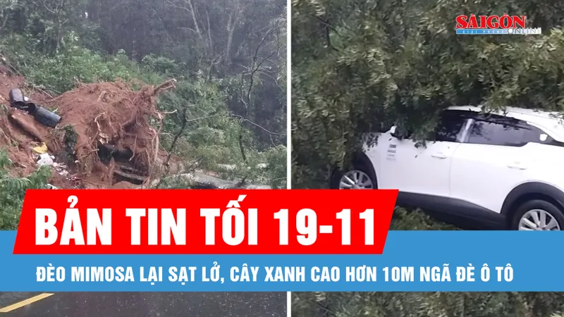 Bản tin tối 19-11: Đèo Mimosa lại sạt lở, cây xanh cao hơn 10m ngã đè ô tô