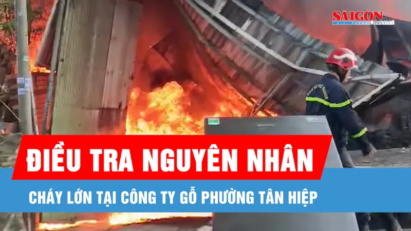 Khống chế thành công đám cháy công ty gỗ tại phường Tân Hiệp