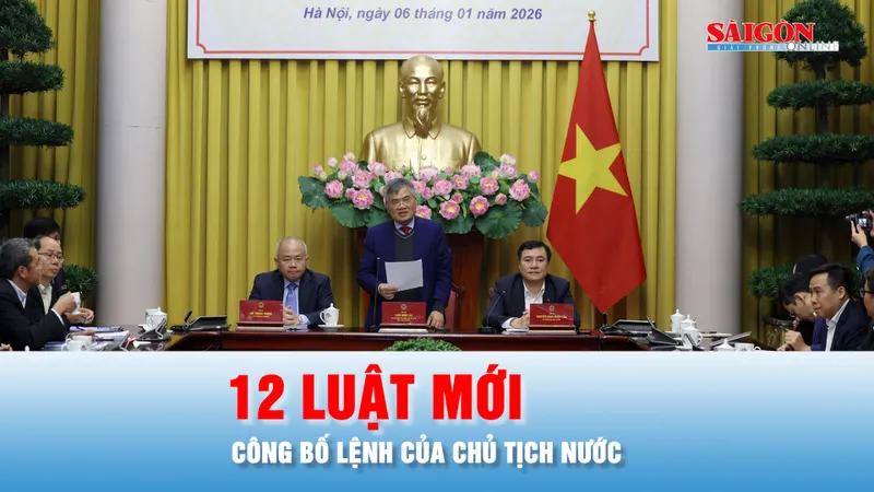 Podcast bản tin 17 giờ 6-1: Công bố Lệnh của Chủ tịch nước về 12 luật mới