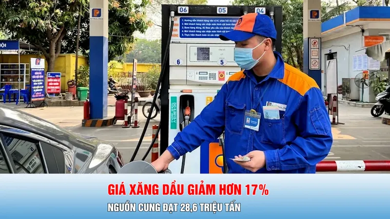 Podcast bản tin tối 16-1: Giá xăng dầu giảm hơn 17%, nguồn cung đạt 28,6 triệu tấn