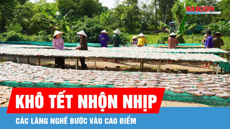 ĐBSCL: Nhộn nhịp sản xuất khô cá, tôm dịp Tết