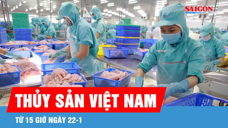 Xuất khẩu thủy sản Việt Nam sang Singapore vươn lên top 3