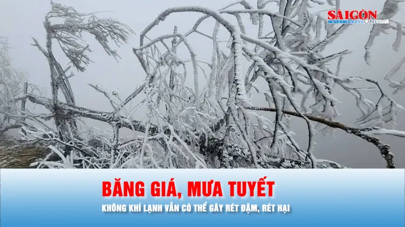 Podcast bản tin trưa 25-1: Không khí lạnh có thể tiếp tục gây rét đậm, rét hại kèm băng giá