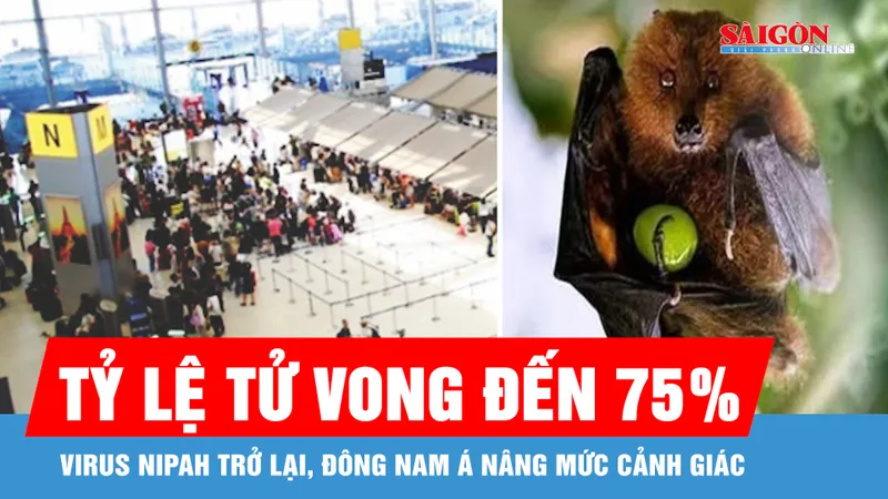 Virus Nipah trở lại, Đông Nam Á đồng loạt nâng mức cảnh giác