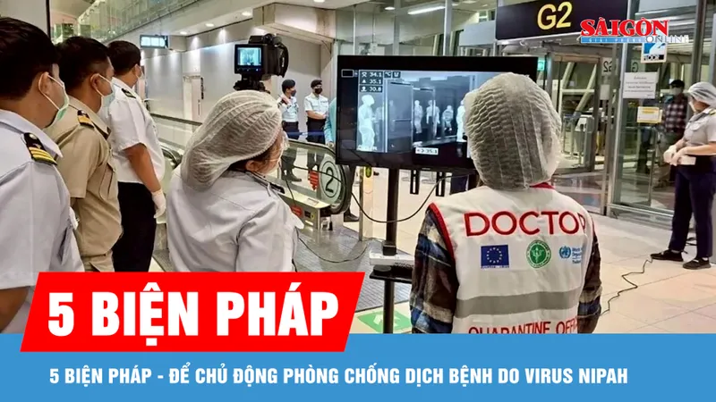 Việt Nam giám sát dịch tễ từ cửa khẩu để phòng chống virus Nipah