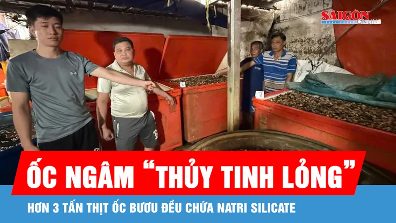 Đột kích cơ sở ngâm 3 tấn ốc bươu trong “thủy tinh lỏng”