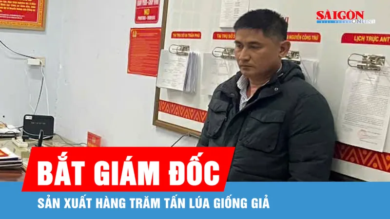 Đắk Lắk: Bắt giám đốc sản xuất hàng trăm tấn lúa giống giả