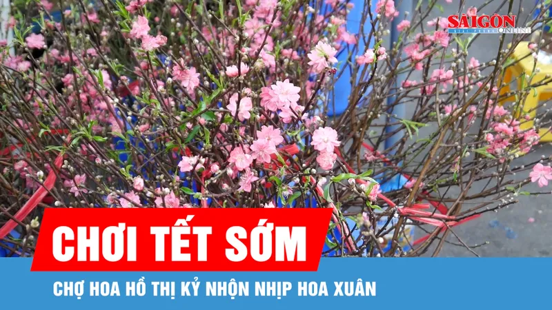 TPHCM: Đào mini, tuyết mai "đổ bộ" chợ hoa Hồ Thị Kỷ