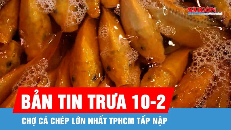 Bản tin trưa 10-2: Chợ cá chép lớn nhất TPHCM tấp nập ngày đưa ông Công ông Táo