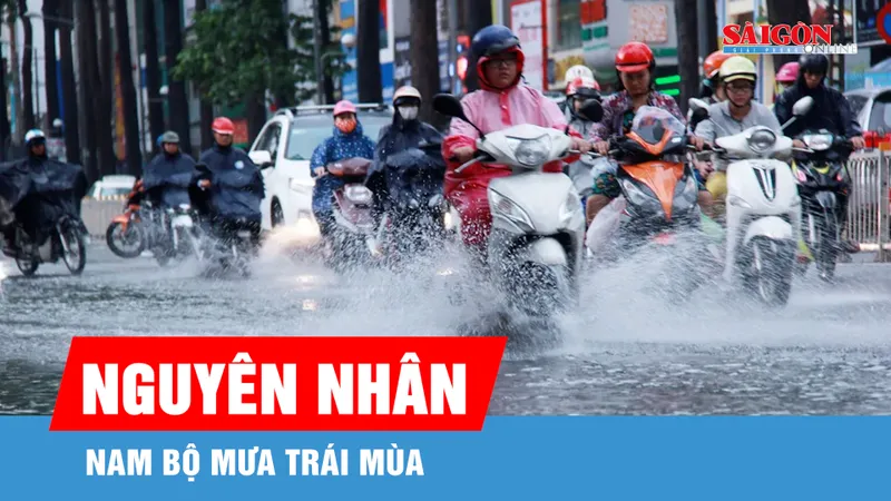 Nam bộ mưa trái mùa từ ngày 11-2