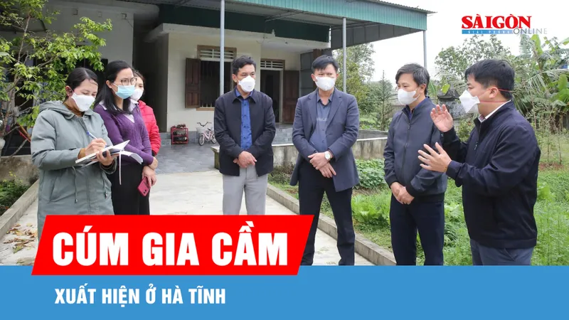 Hà Tĩnh: Xuất hiện dịch cúm gia cầm H5N1, phòng ngừa lây sang người