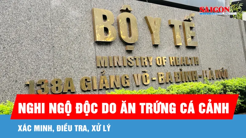 Xác minh, điều tra, xử lý vụ 13 người nghi ngộ độc thực phẩm do ăn trứng cá cảnh