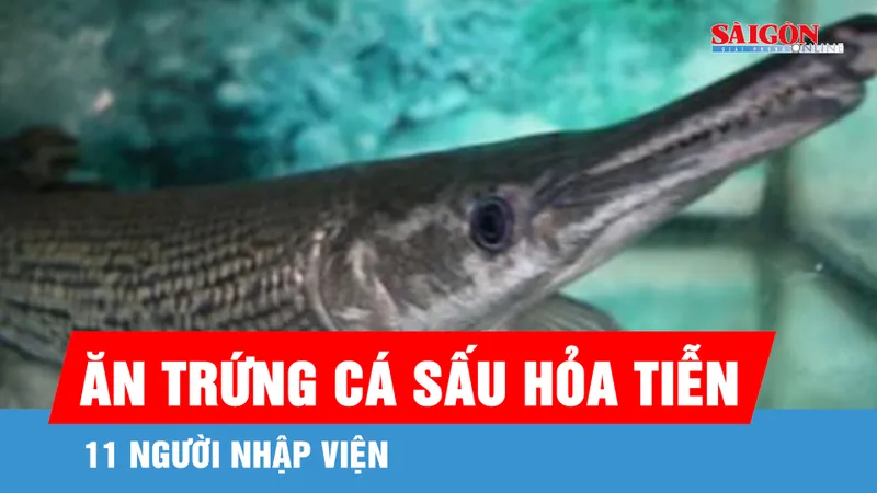 Thanh Hóa: 11 người nhập viện vì ăn trứng cá sấu hỏa tiễn