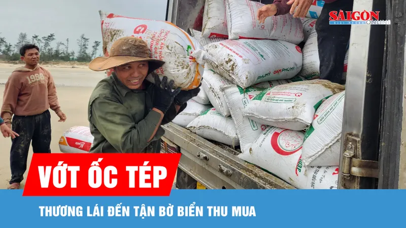 Đổ xô ra biển vớt ốc tép